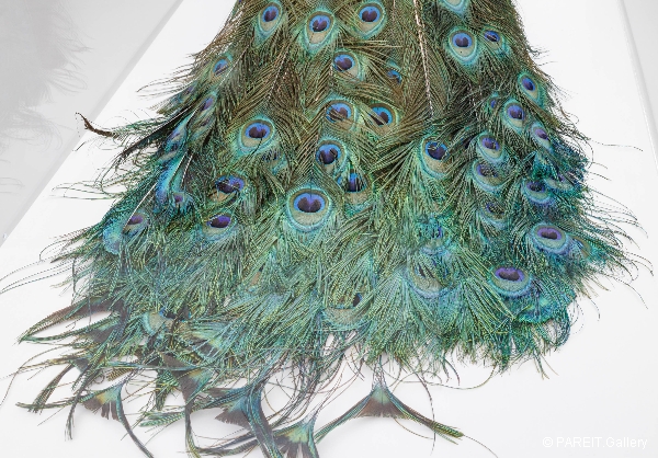 VANMECHELEN Koen - Artificial Crossbreeding